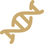 Icono de ADN dorado